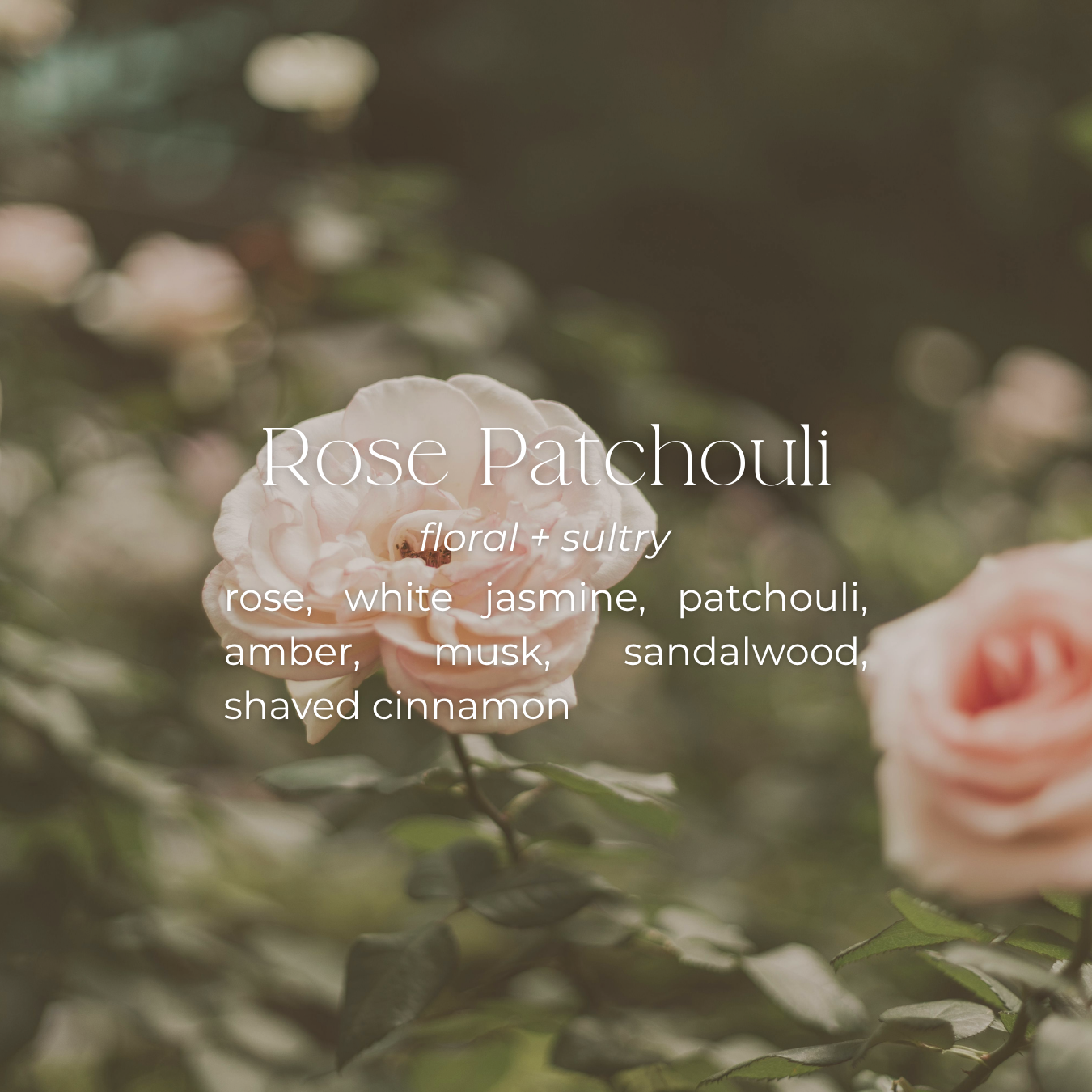 Rose Patchouli