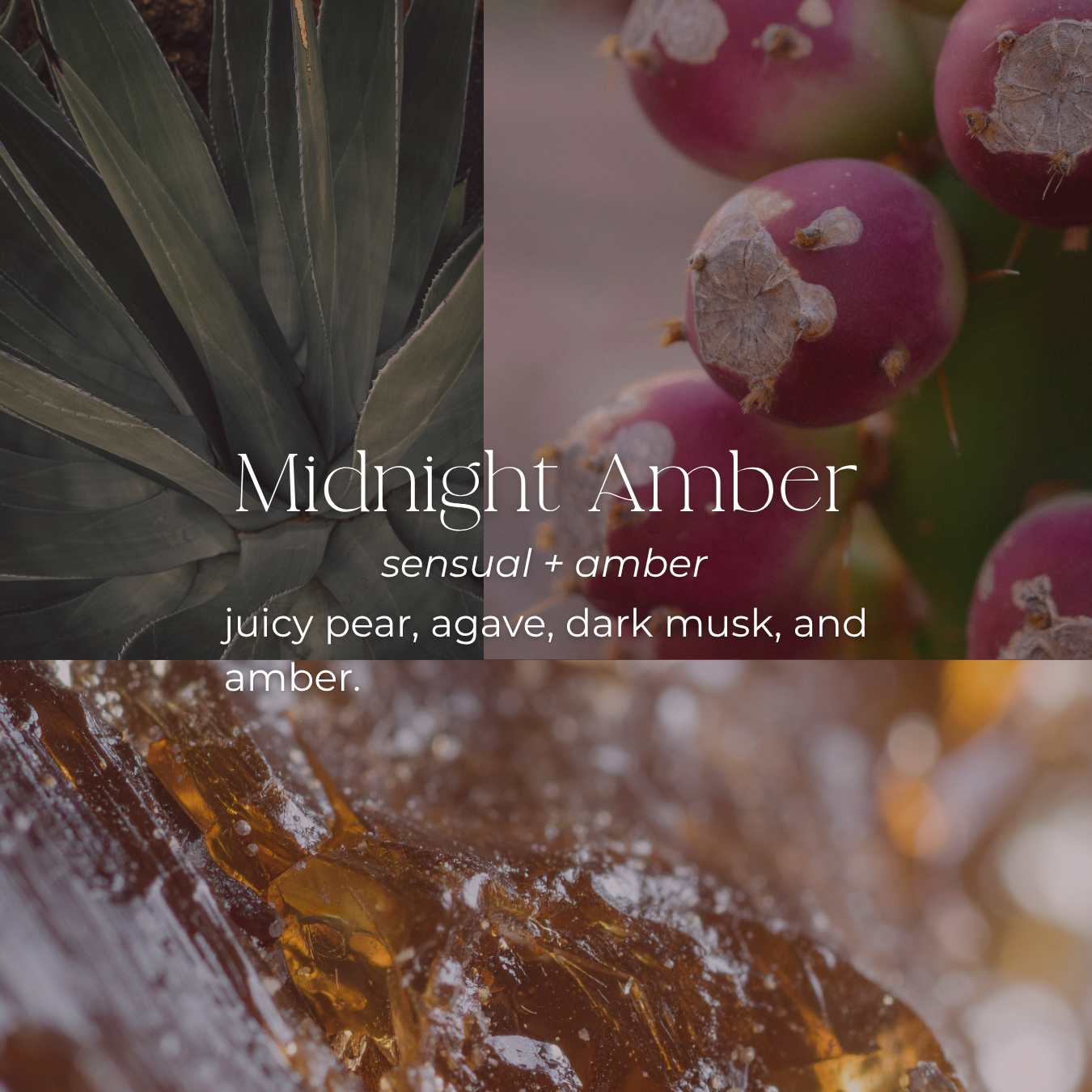 Midnight Amber