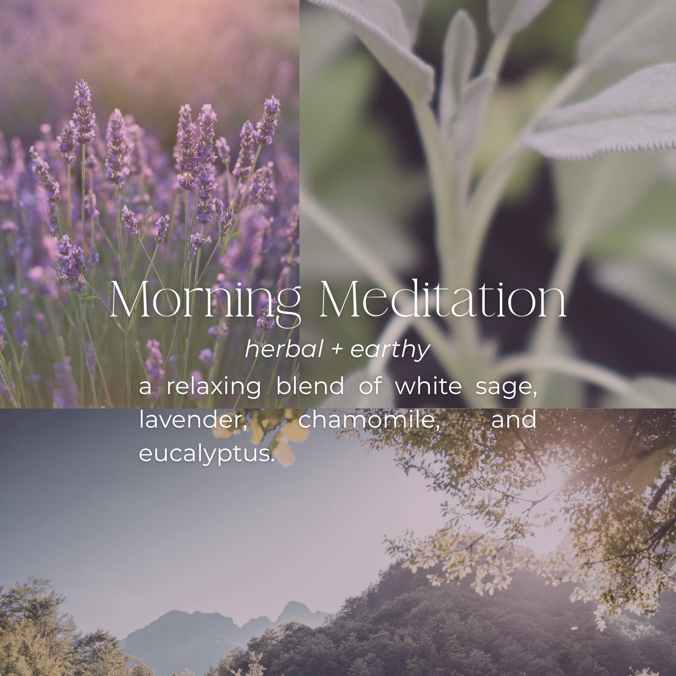 Morning Meditation