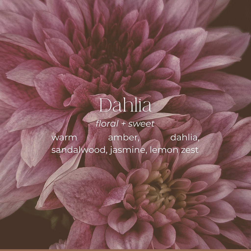 Dahlia
